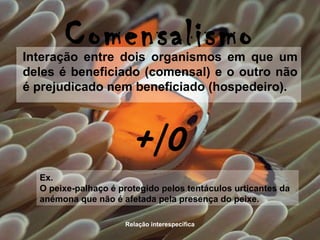Relação interespecífica
ComensalismoInteração entre dois organismos em que um
deles é beneficiado (comensal) e o outro não
é prejudicado nem beneficiado (hospedeiro).
Ex.
O peixe-palhaço é protegido pelos tentáculos urticantes da
anémona que não é afetada pela presença do peixe.
+/0
 