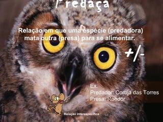 Relação interespecífica
Predaçã
oRelação em que uma espécie (predadora)
mata outra (presa) para se alimentar.
Ex.
Predador: Coruja das Torres
Presa: Roedor
+/-
 
