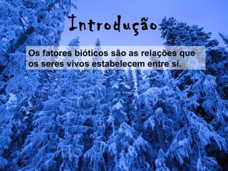 Introdução
Os fatores bióticos são as relações que
os seres vivos estabelecem entre si.
 