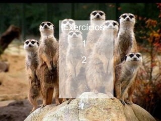 Exercícios
1
2
 