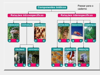 Passar para o
caderno
 