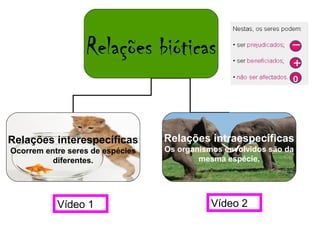 Relações bióticas


Relações interespecíficas         Relações intraespecíficas
Ocorrem entre seres de espécies   Os organismos envolvidos são da
          diferentes.                     mesma espécie.




           Vídeo 1                           Vídeo 2
 