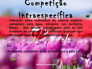 Competição
        intraespecífica
 Interação entre indivíduos da mesma espécie,
 competem pela água, alimento, luz, território,
 fêmea… São ambos prejudicados pois se não
 tivessem de competir não sofreriam qualquer tipo


                                             -/-
 de danos corporais nem gastariam energia.


Ex.
As plantas competem entre si pela água e pela luz.



                   Relação intraespecífica
 