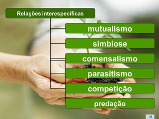 Relações interespecíficas

                            mutualismo
                             simbiose
                        comensalismo
                            parasitismo
                            competição
                             predação
 