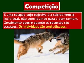 Competição
É uma relação cujo objetivo é a sobrevivência
individual, não contribuindo para o bem comum.
Geralmente ocorre quando os recursos são
escassos. Os indivíduos são prejudicados.
 