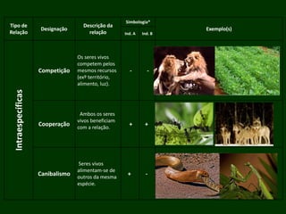 Tipo de
Relação
Designação
Descrição da
relação
Simbologia*
Exemplo(s)
Ind. A Ind. B
Intraespecíficas
Competição
Os seres vivos
competem pelos
mesmos recursos
(exº território,
alimento, luz).
- -
Cooperação
Ambos os seres
vivos beneficiam
com a relação.
+ +
Canibalismo
Seres vivos
alimentam-se de
outros da mesma
espécie.
+ -
 