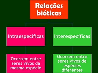 Relações
bióticas
Intraespecíficas
Ocorrem entre
seres vivos da
mesma espécie
Interespecíficas
Ocorrem entre
seres vivos de
espécies
diferentes
 