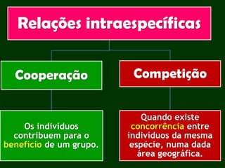 Relações intraespecíficas
Cooperação
Os indivíduos
contribuem para o
benefício de um grupo.
Competição
Quando existe
concorrência entre
indivíduos da mesma
espécie, numa dada
área geográfica.
 