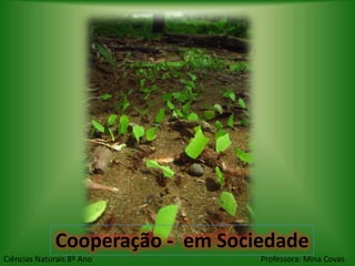 Cooperação - em Sociedade
Ciências Naturais 8º Ano          Professora: Mina Covas
 