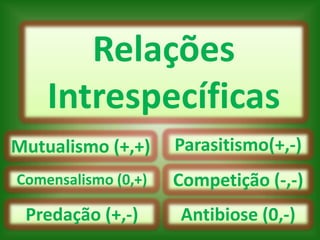 Relações
    Intrespecíficas
Mutualismo (+,+)     Parasitismo(+,-)
Comensalismo (0,+)   Competição (-,-)
 Predação (+,-)      Antibiose (0,-)
 