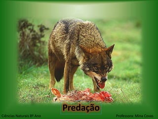 Predação
Ciências Naturais 8º Ano              Professora: Mina Covas
 
