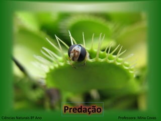 Predação
Ciências Naturais 8º Ano              Professora: Mina Covas
 