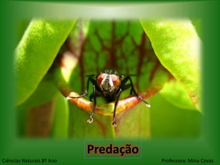 Predação
Ciências Naturais 8º Ano              Professora: Mina Covas
 