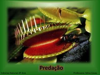 Predação
Ciências Naturais 8º Ano              Professora: Mina Covas
 