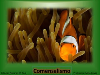 Ciências Naturais 8º Ano   Comensalismo   Professora: Mina Covas
 