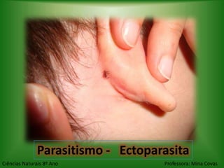 Parasitismo - Ectoparasita
Ciências Naturais 8º Ano           Professora: Mina Covas
 