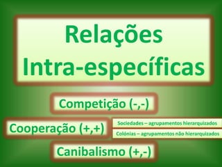 Relações
  Intra-específicas
        Competição (-,-)
                   Sociedades – agrupamentos hierarquizados
Cooperação (+,+)   Colónias – agrupamentos não hierarquizados


       Canibalismo (+,-)
 