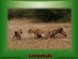 Ciências Naturais 8º Ano   Competição   Professora: Mina Covas
 