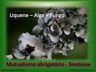 Mutualismo obrigatório - Simbiose
Ciências Naturais 8º Ano      Professora: Mina Covas
 