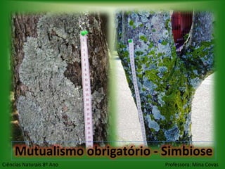 Mutualismo obrigatório - Simbiose
Ciências Naturais 8º Ano      Professora: Mina Covas
 