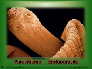 Parasitismo - Endoparasita
Ciências Naturais 8º Ano          Professora: Mina Covas
 