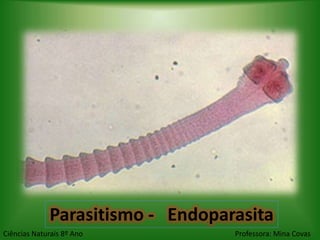 Parasitismo - Endoparasita
Ciências Naturais 8º Ano          Professora: Mina Covas
 