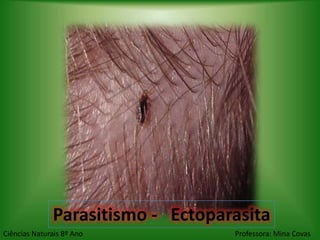 Parasitismo - Ectoparasita
Ciências Naturais 8º Ano           Professora: Mina Covas
 