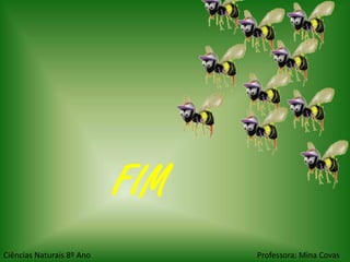 FIM
Ciências Naturais 8º Ano         Professora: Mina Covas
 