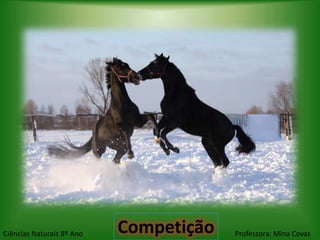 Ciências Naturais 8º Ano   Competição   Professora: Mina Covas
 