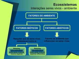 Ecossistemas Interações seres vivos - ambiente FATORES DO AMBIENTE FATORES ABIÓTICOS FATORES BIÓTICOS Relações que os seres vivos estabelecem entre si. Fatores do ambiente que influenciam os seres vivos. Relações Intra-específicas (entre seres vivos da  mesma espécie) Relações Interespecíficas (entre seres vivos de  espécies diferentes) 