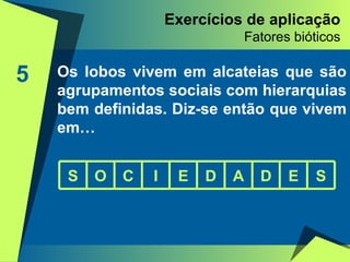 Exercícios de aplicação Fatores bióticos 5 Os lobos vivem em alcateias que são agrupamentos sociais com hierarquias bem definidas. Diz-se então que vivem em…  S O C I E D A D E S 