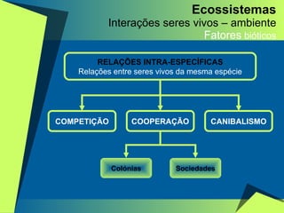 Ecossistemas Interações seres vivos – ambiente Fatores  bióticos RELAÇÕES INTRA-ESPECÍFICAS Relações entre seres vivos da mesma espécie COMPETIÇÃO COOPERAÇÃO CANIBALISMO Sociedades Colónias 