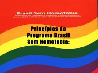 Princípios do Programa Brasil Sem Homofobia: 