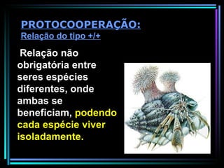 Relação não obrigatória entre seres espécies diferentes, onde ambas se beneficiam,  podendo cada espécie viver isoladamente. PROTOCOOPERAÇÃO:  Relação do tipo +/+ 