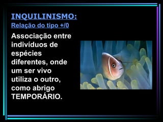 Associação entre indivíduos de espécies diferentes, onde um ser vivo utiliza o outro, como abrigo TEMPORÁRIO. INQUILINISMO: Relação do tipo +/0 