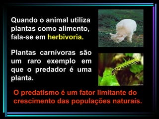 O predatismo é um fator limitante do crescimento das populações naturais. Plantas carnívoras são um raro exemplo em que o predador é uma planta. Quando o animal utiliza plantas como alimento, fala-se em  herbivoria. 