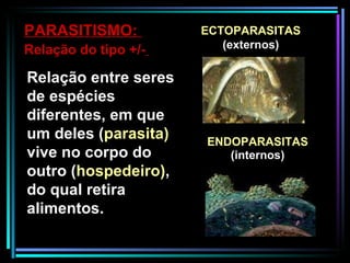 Relação entre seres de espécies diferentes, em que um deles ( parasita)  vive no corpo do outro ( hospedeiro) , do qual retira alimentos. PARASITISMO:  Relação do tipo +/-   ECTOPARASITAS  (externos) ENDOPARASITAS (internos) 