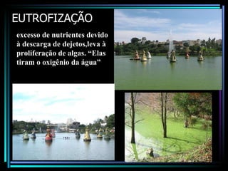 EUTROFIZAÇÃO excesso de nutrientes devido à descarga de dejetos,leva à proliferação de algas. “Elas tiram o oxigênio da água”  