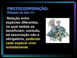 Relação entre espécies diferentes, na qual ambas se beneficiam; contudo, tal associação não é obrigatória,  podendo cada espécie viver isoladamente. PROTOCOOPERAÇÃO:  Relação do tipo +/+ 