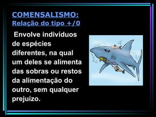 Envolve indivíduos de espécies diferentes, na qual um deles se alimenta das sobras ou restos da alimentação do outro, sem qualquer prejuízo. COMENSALISMO: Relação do tipo +/0 