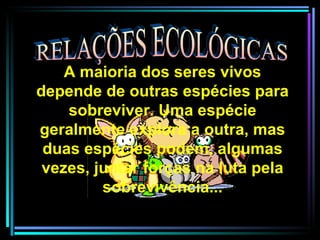 RELAÇÕES ECOLÓGICAS A maioria dos seres vivos depende de outras espécies para sobreviver. Uma espécie geralmente explora a outra, mas duas espécies podem, algumas vezes, juntar forças na luta pela sobrevivência... 