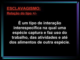 É um tipo de interação interespecífica na qual uma espécie captura e faz uso do trabalho, das atividades e até dos alimentos de outra espécie . ESCLAVAGISMO: Relação do tipo +/- 