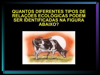 QUANTOS DIFERENTES TIPOS DE RELAÇÕES ECOLÓGICAS PODEM SER IDENTIFICADAS NA FIGURA ABAIXO? 