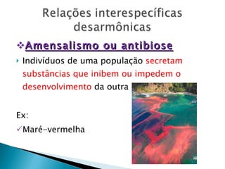 Amensalismo ou antibiose Indivíduos de uma população  secretam substâncias que inibem ou impedem o desenvolvimento  da outra espécie. Ex: Maré-vermelha 