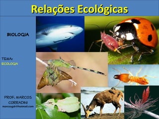 Biologia
Tema:
Ecologia
Prof. Marcos
Corradini
marcosgdr@hotmail.com
Relações EcológicasRelações Ecológicas
 