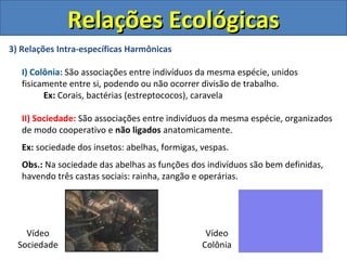 3) Relações Intra-específicas Harmônicas
I) Colônia: São associações entre indivíduos da mesma espécie, unidos
fisicamente entre si, podendo ou não ocorrer divisão de trabalho.
Ex: Corais, bactérias (estreptococos), caravela
II) Sociedade: São associações entre indivíduos da mesma espécie, organizados
de modo cooperativo e não ligados anatomicamente.
Ex: sociedade dos insetos: abelhas, formigas, vespas.
Obs.: Na sociedade das abelhas as funções dos indivíduos são bem definidas,
havendo três castas sociais: rainha, zangão e operárias.
Relações EcológicasRelações Ecológicas
Vídeo
Sociedade
Vídeo
Colônia
 