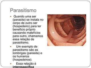 Parasitismo
 Quando uma ser
  (parasita) se instala no
  corpo de outro ser
  (hospedeiro) para ter
  benefício próprio
  causando malefícios
  para outro, chamamos
  essa relação de
  parasitismo.
    Um exemplo de
  parasitismo são as
  lombrigas (parasita) e
  os humanos
  (hospedeiros).
    Essa relação é
  interespecífica
 