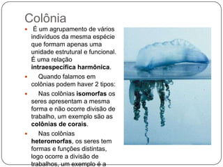 Colônia
  É um agrupamento de vários
  indivíduos da mesma espécie
  que formam apenas uma
  unidade estrutural e funcional.
  É uma relação
  intraespecífica harmônica.
    Quando falamos em
  colônias podem haver 2 tipos:
    Nas colônias isomorfas os
  seres apresentam a mesma
  forma e não ocorre divisão de
  trabalho, um exemplo são as
  colônias de corais.
    Nas colônias
  heteromorfas, os seres tem
  formas e funções distintas,
  logo ocorre a divisão de
  trabalhos, um exemplo é a
 