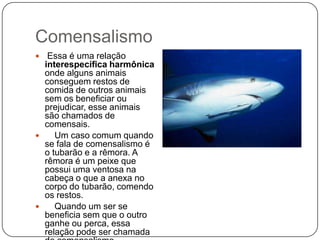 Comensalismo
  Essa é uma relação
  interespecífica harmônica
  onde alguns animais
  conseguem restos de
  comida de outros animais
  sem os beneficiar ou
  prejudicar, esse animais
  são chamados de
  comensais.
    Um caso comum quando
  se fala de comensalismo é
  o tubarão e a rêmora. A
  rêmora é um peixe que
  possui uma ventosa na
  cabeça o que a anexa no
  corpo do tubarão, comendo
  os restos.
    Quando um ser se
  beneficia sem que o outro
  ganhe ou perca, essa
  relação pode ser chamada
 