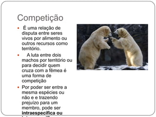 Competição
 É uma relação de
  disputa entre seres
  vivos por alimento ou
  outros recursos como
  território.
    A luta entre dois
  machos por território ou
  para decidir quem
  cruza com a fêmea é
  uma forma de
  competição
 Por poder ser entre a
  mesma espécies ou
  não e e trazendo
  prejuízo para um
  membro, pode ser
  intraespecífica ou
 